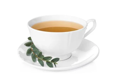 Cup of green tea with eucalyptus leaves on white background Stock Photos
