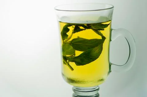 Cup of herbal tea Stock Photos