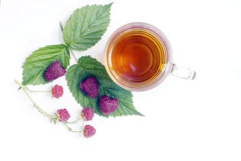 Cup of herbal tea Stock Photos