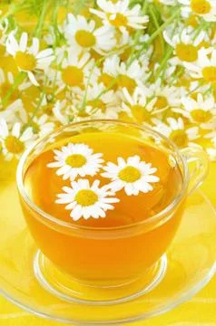 Cup of herbal tea Stock Photos