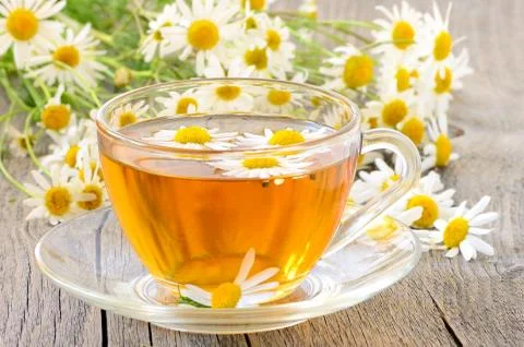Cup of herbal tea Stock Photos