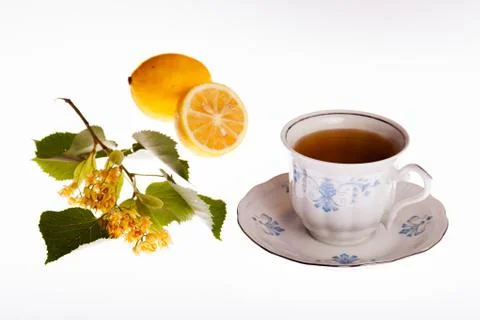 Cup of herbal tea Stock Photos