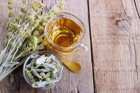 Cup of herbal tea Stock Photos