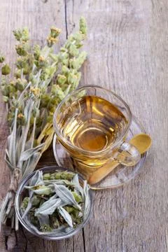 Cup of herbal tea Stock Photos