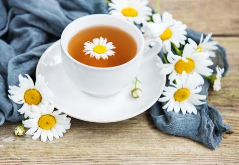 Cup of herbal tea Stock Photos