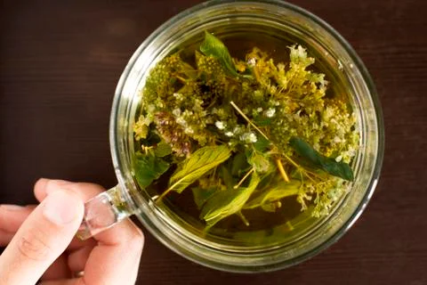 Cup of herbal tea Stock Photos