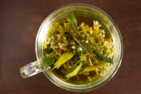 Cup of herbal tea Stock Photos