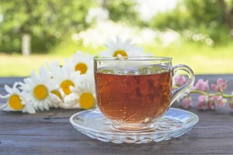 Cup of herbal tea on the table in front of the summer garden, bouquet of wh.. Stock Photos
