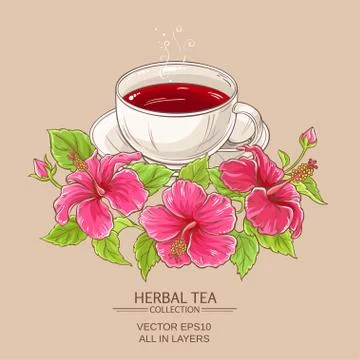Cup of hibiscus tea Stock Illustration