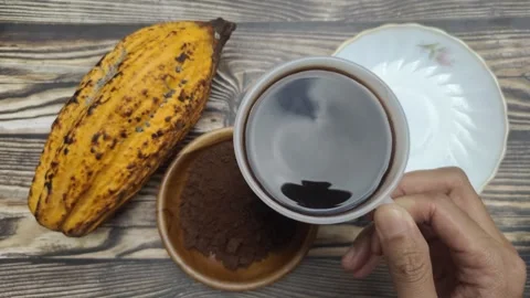 A Cup of Hot Chocolate Stock Footage 314096996