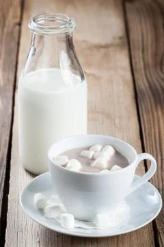 Cup of Hot Chocolate with marshmallows Stock Photos