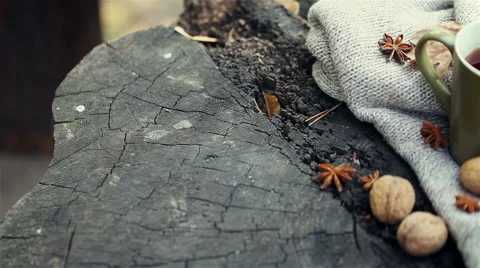 Cup of hot drink, knitting clothes, winter scarf on an old dry tree stump in the Stock Footage 56256332