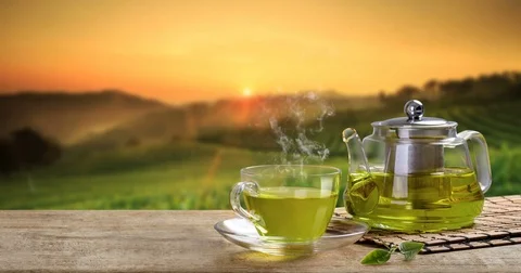 Cup of hot green tea and the tea plantations background Stock Footage 84465490