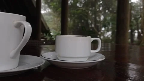 A cup of hot lemon tea in the cold wheater Stock Footage 150215590