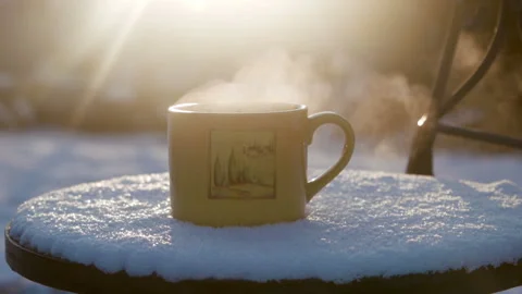 Cup with hot tea against the sun in the winter Stock Footage 100538259