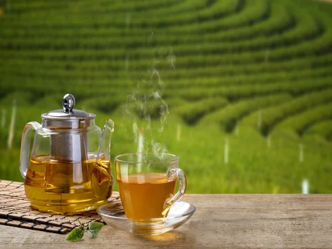 Cup of hot tea and jars and tea leaf and the tea plantations background Stock-Footage 84466513