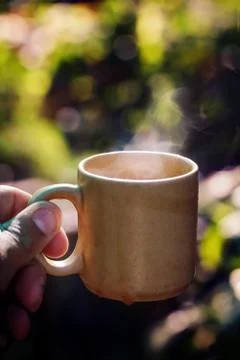 A cup of hot tea Stock Photos
