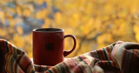 A cup of hot tea in a red cup on orange leaves background Stock Footage 146067409
