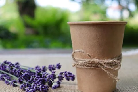 Cup made of paper sits on a table decorated with lavender flowers in a green 스톡 사진