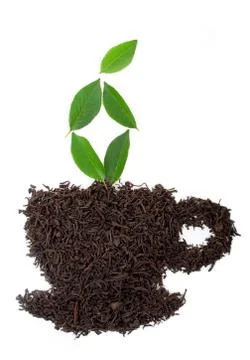 Cup made from tea leaf isolated on white Stock Photos