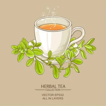 Cup of marjoram tea Illustrazione stock