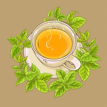 Cup of melissa tea Stock Illustration