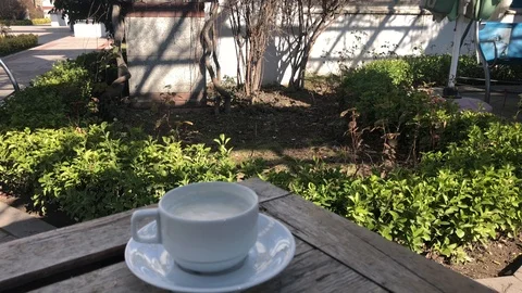 Cup of milk. Stock Footage 85972196