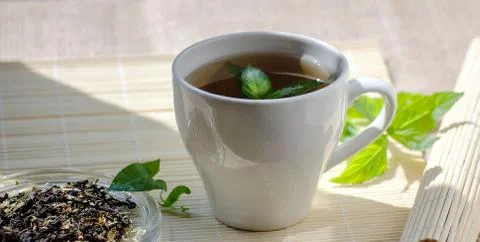 Cup of mint tea and a bunch of mint on the table Stock Photos