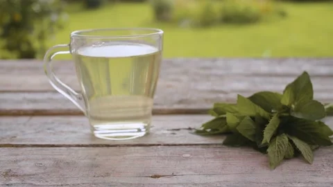 Cup of mint tea and fresh mint Stock Footage 137784432