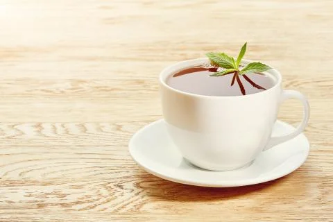 Cup of mint tea and green leaves on light table Stock Photos