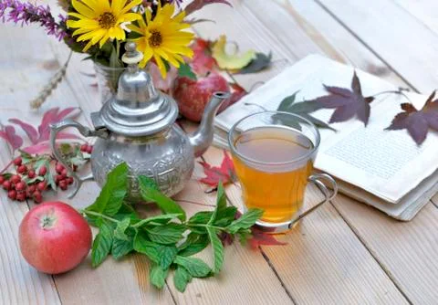 Cup of mint tea  on a garden table with flowers and book for relaxing moment Stock Photos