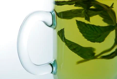 Cup of mint tea Photos