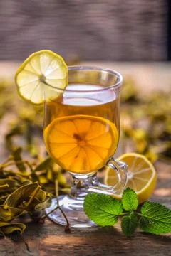 Cup of mistletoe tea Stock Photos