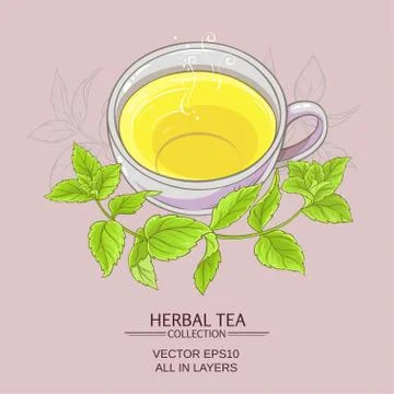 Cup or peppermint tea Stock Illustration