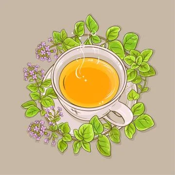 Cup of oregano tea Stock-Illustration