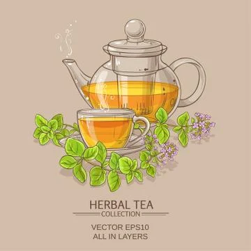 Cup of oregano tea in teapot Stock Illustration