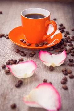 Cup with petals Stock Photos