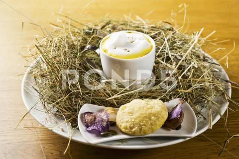 A cup of pumpkin foam soup with poppyseed oil in a nest of hay Stock Photos