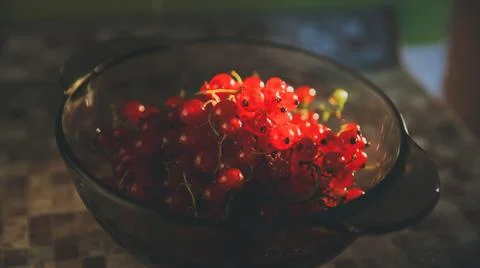 Cup with red currants illuminated by the rays of the sun. Stock Photos