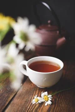 Cup of red tea and two chamomile flowers Stock Photos
