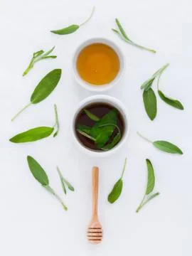 The cup of  sage healthy drinking tea for warm when illness and cold. Stock Photos
