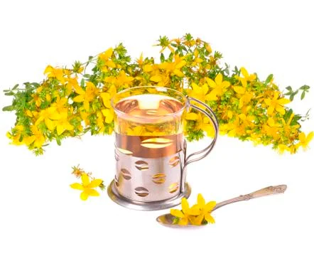 A cup of st. john's tea with fresh flowers on a white background Stock Photos