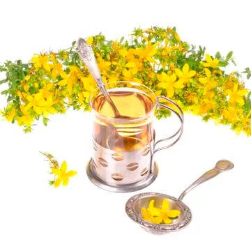 A cup of st. john's tea with fresh flowers on a white background Stock Photos