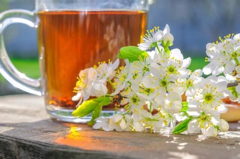Cup of tea and apple tree flowers outdoor in spring morning Stock Photos