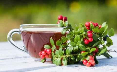 Cup of tea and berries on table in autumn Stock Photos