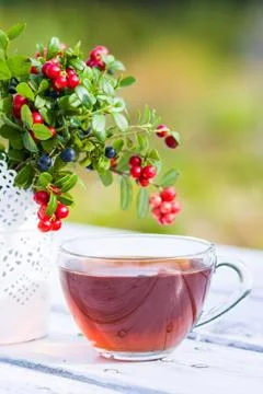 Cup of tea and berries on table in autumn Stock Photos