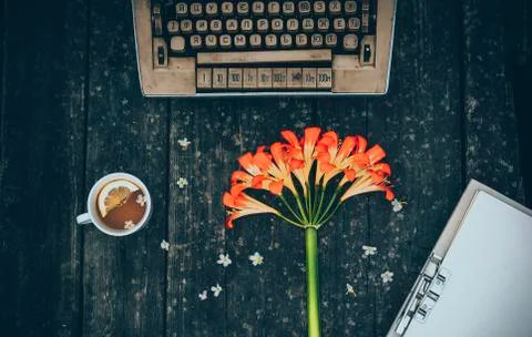 A cup of tea and an old typewriter, around her are flowers and a cup of tea o 写真素材