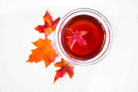 A cup of tea and red maple autumn leaves are isolated on a white background. Stock Photos