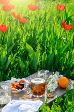 Cup of tea and simple breakfast outdoor in spring Stock Photos