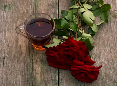 Cup of tea and three red beautiful roses Stock Photos